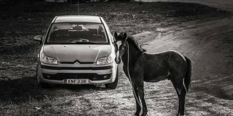 Chevaux fiscaux et réels