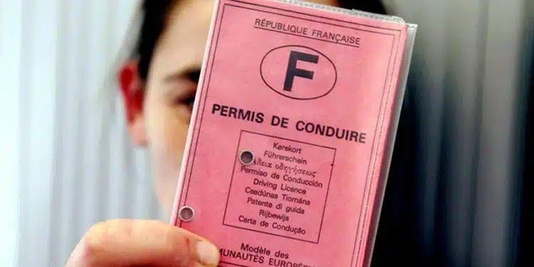 permis de conduire